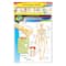 The Human Body Learning Charts Combo Pack, Set of 7